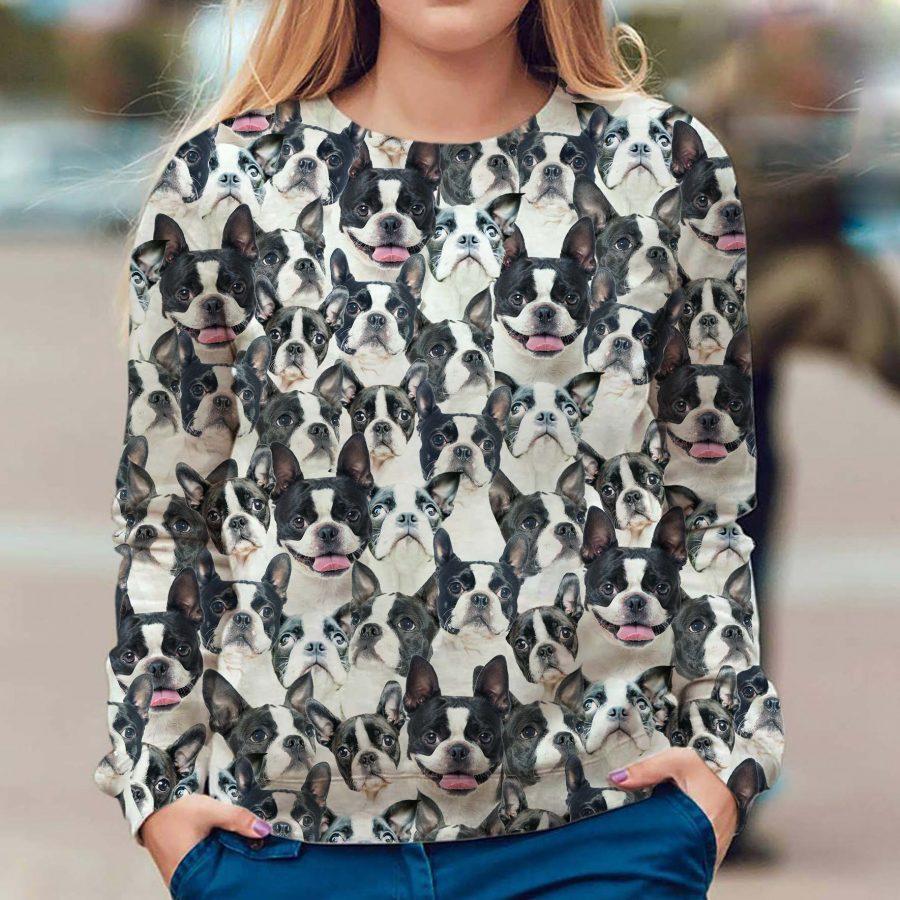 Boston Terrier - Full Face - Premium Sweatshirt