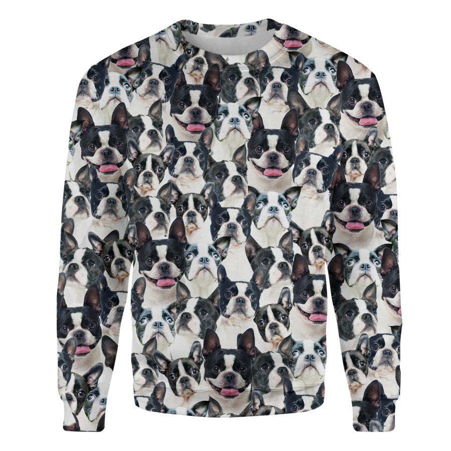 Boston Terrier - Full Face - Premium Sweatshirt