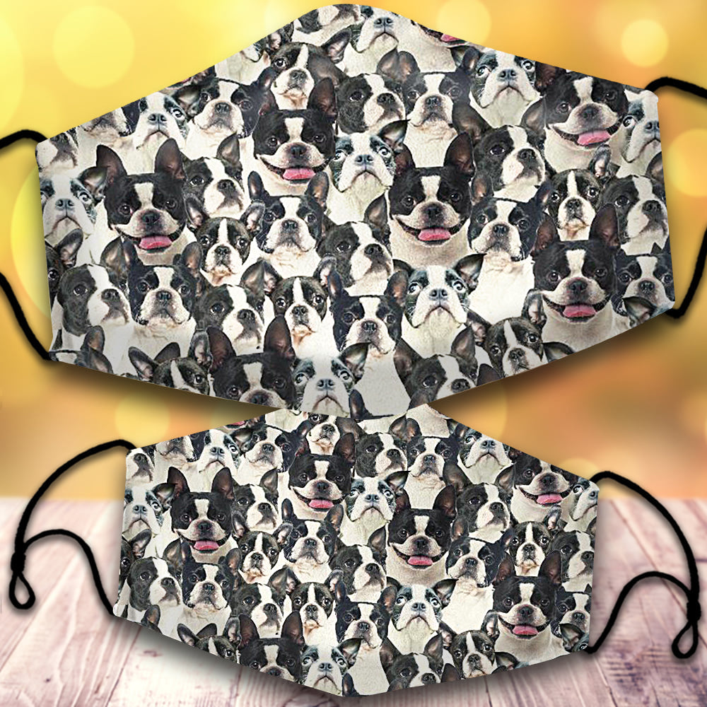 Boston Terrier-Full Veil