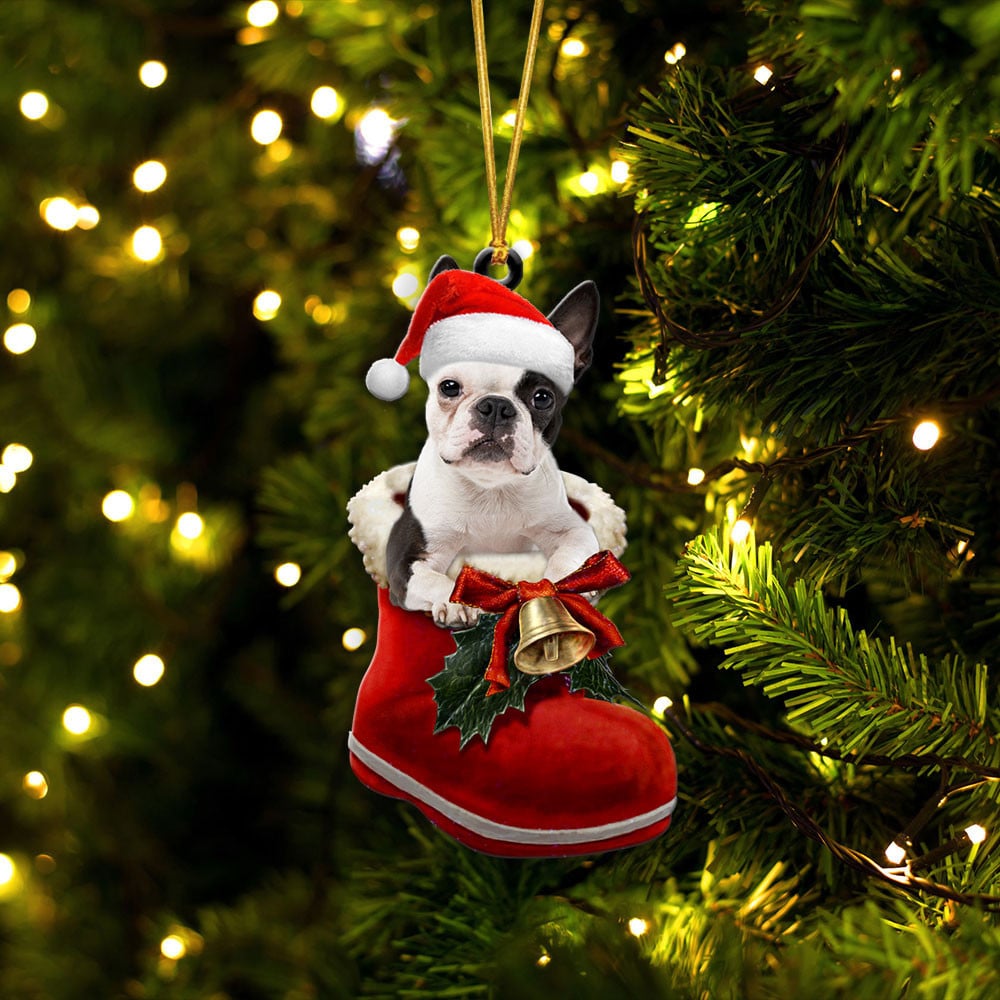 Dog christmas boots online