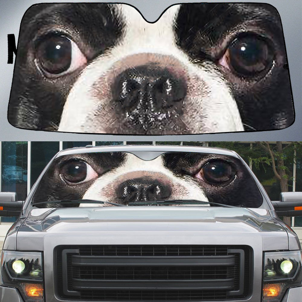 Boston Terrier's Eyes-Beautiful Dog Eyes Car Sun Shade Cover Auto Windshield