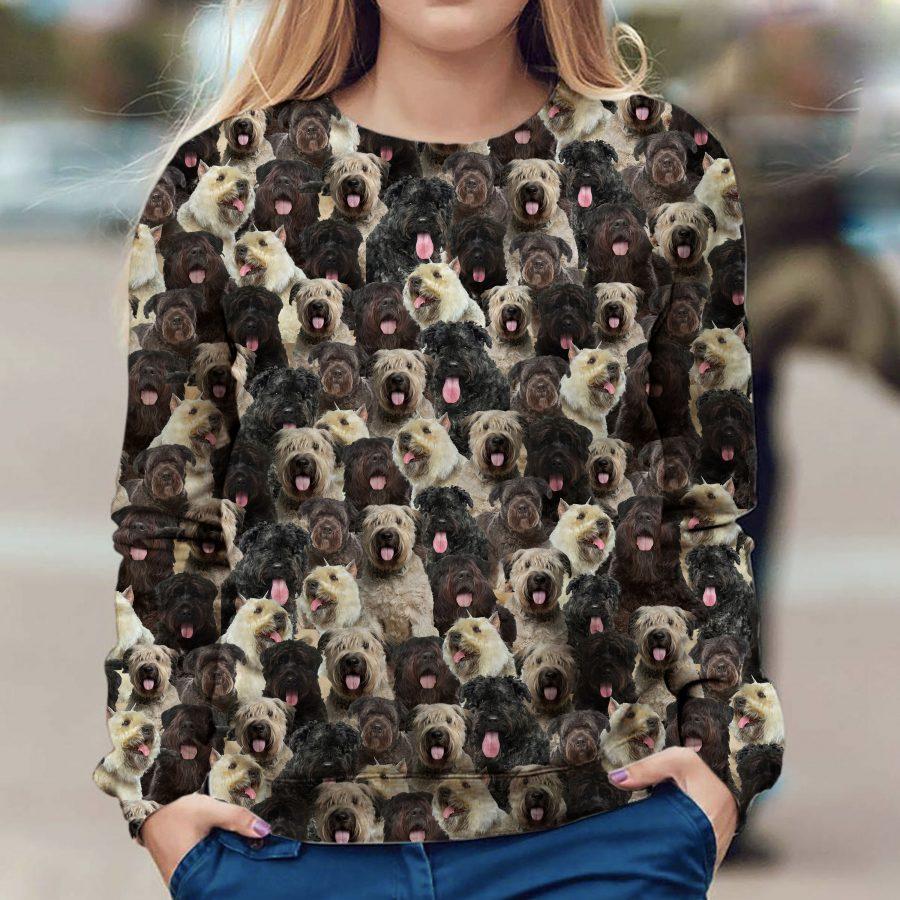 Bouvier des Flandres - Full Face - Premium Sweatshirt