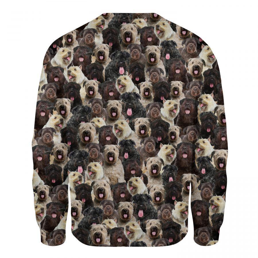 Bouvier des Flandres - Full Face - Premium Sweatshirt