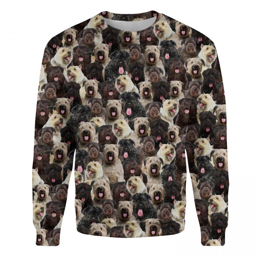 Bouvier des Flandres - Full Face - Premium Sweatshirt