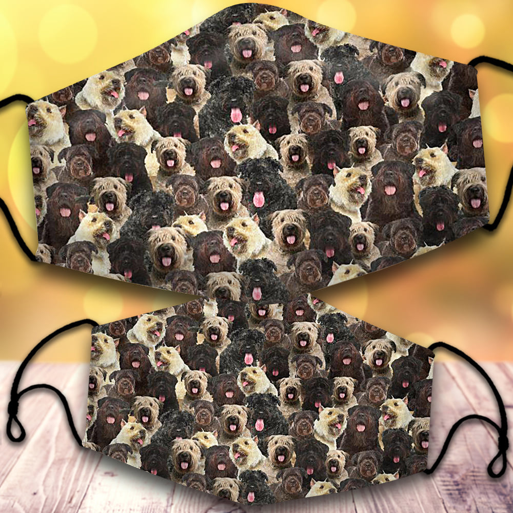 Bouvier Des Flandres-Full Veil