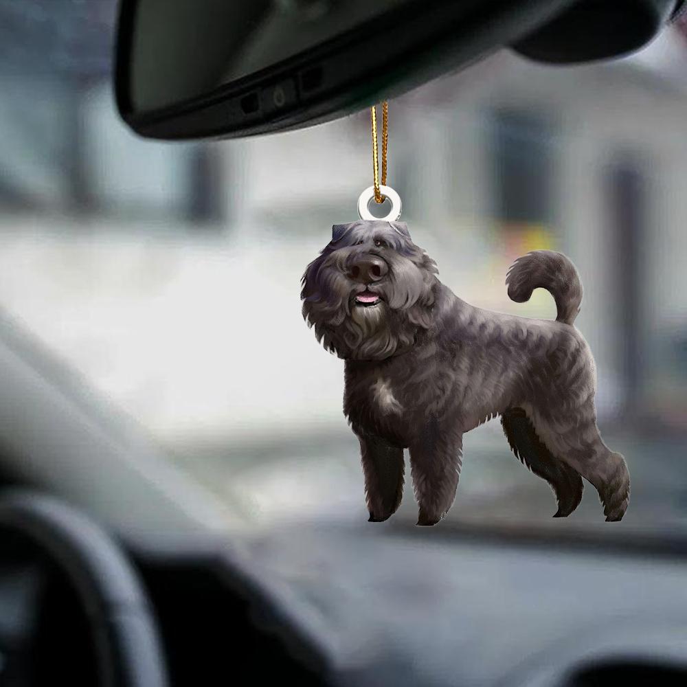 Bouvier des Flandres-Look at me-two sided ornament