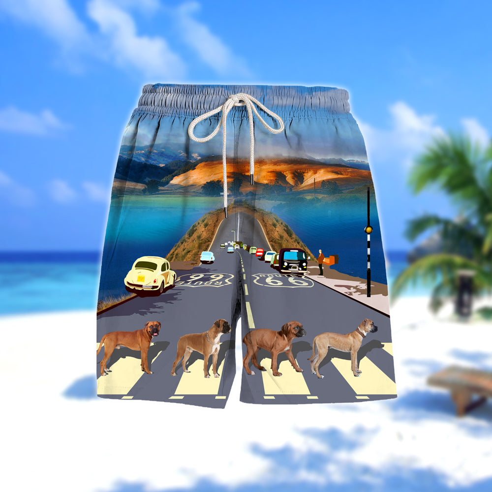 Boxer Cross the road- Men Hawaii Beach Shorts