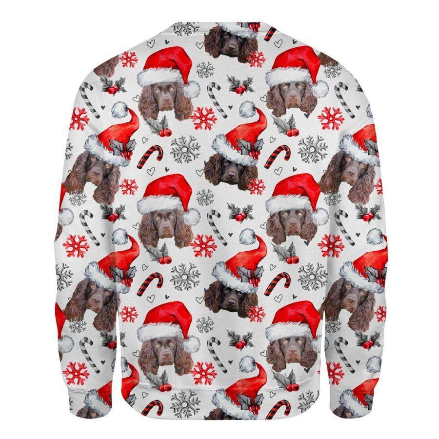 Boykin Spaniel - Xmas Decor - Premium Sweatshirt