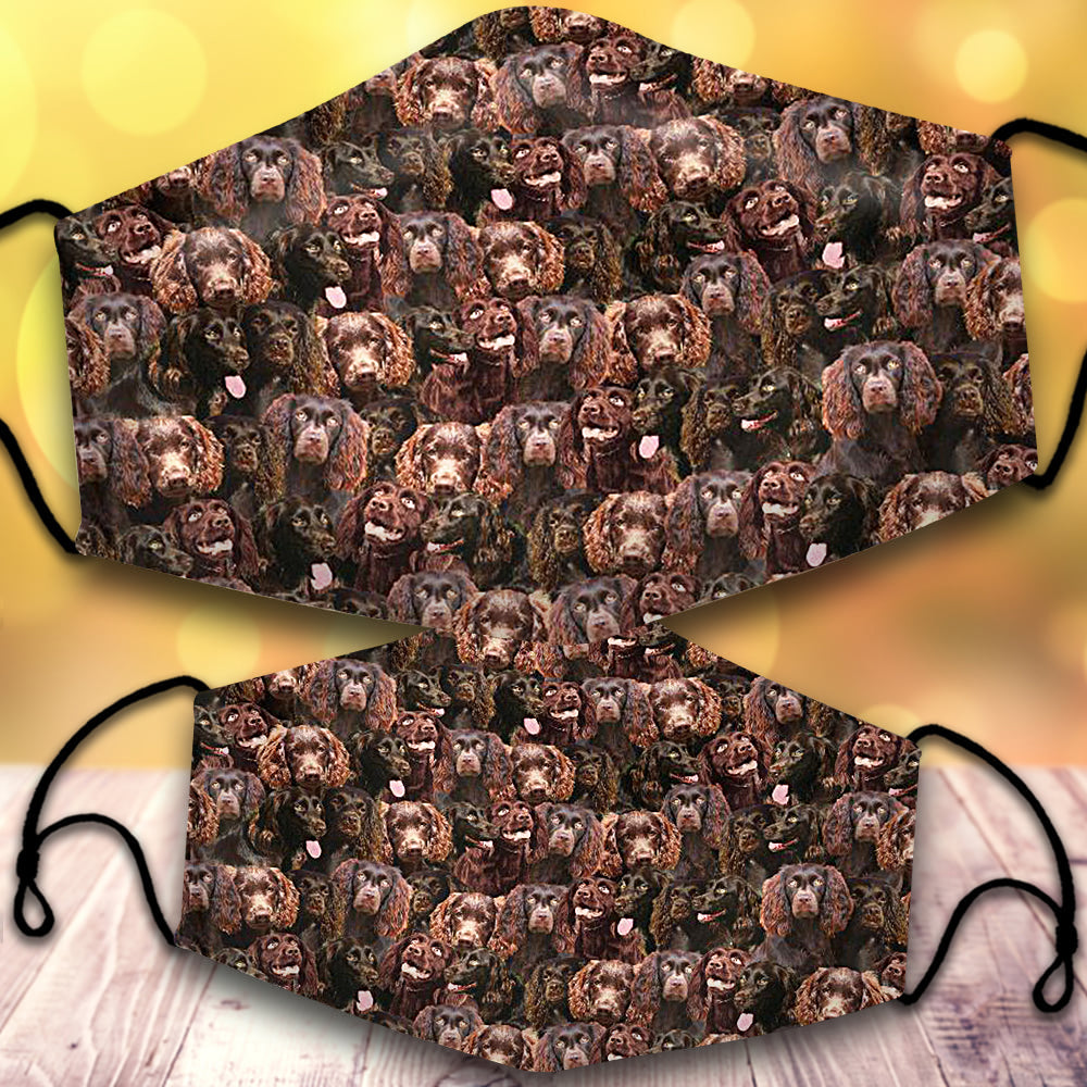 Boykin Spaniel-Full Veil