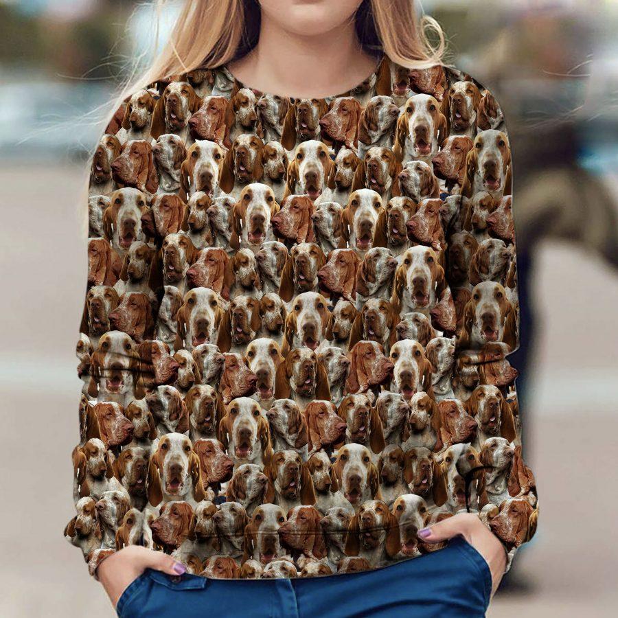 Bracco Italiano - Full Face - Premium Sweatshirt