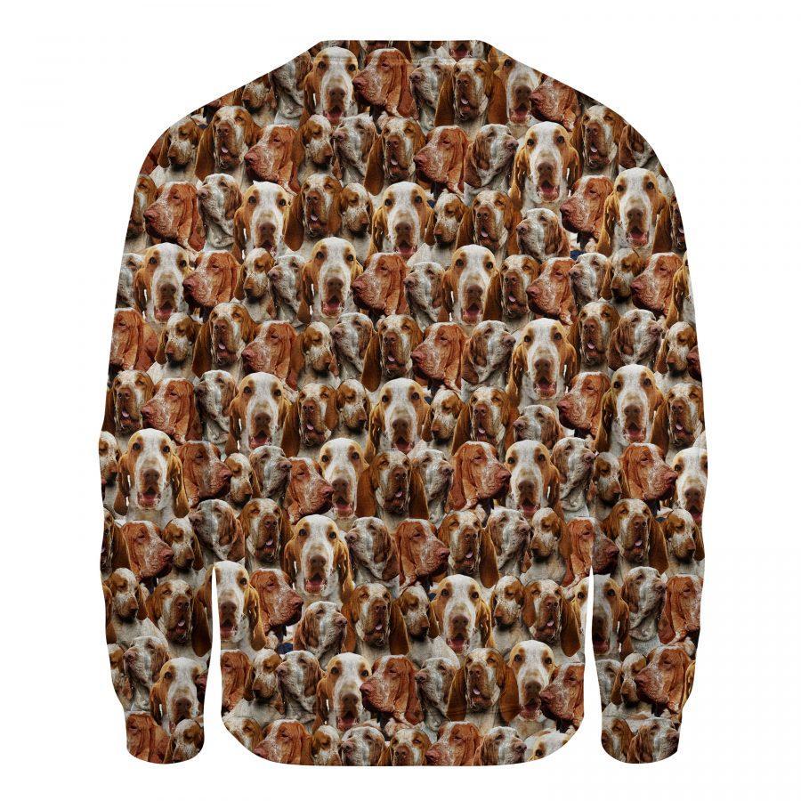 Bracco Italiano - Full Face - Premium Sweatshirt