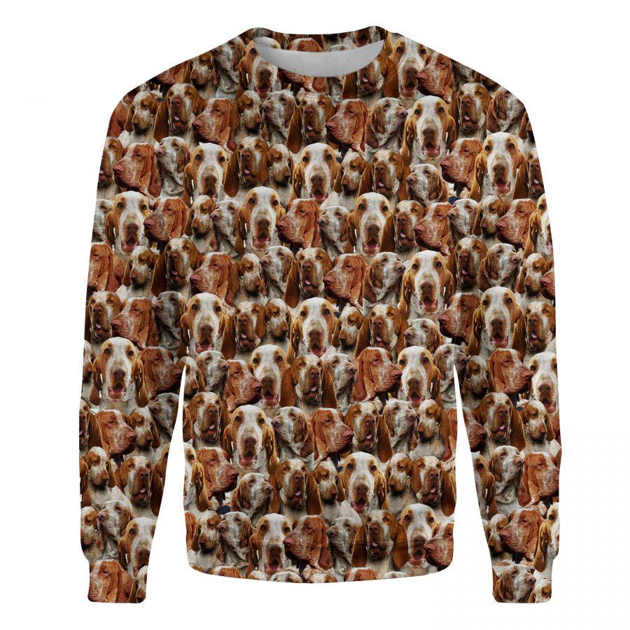 Bracco Italiano - Full Face - Premium Sweatshirt