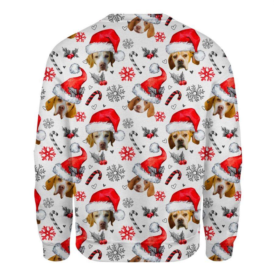 Braque Saint Germain - Xmas Decor - Premium Sweatshirt