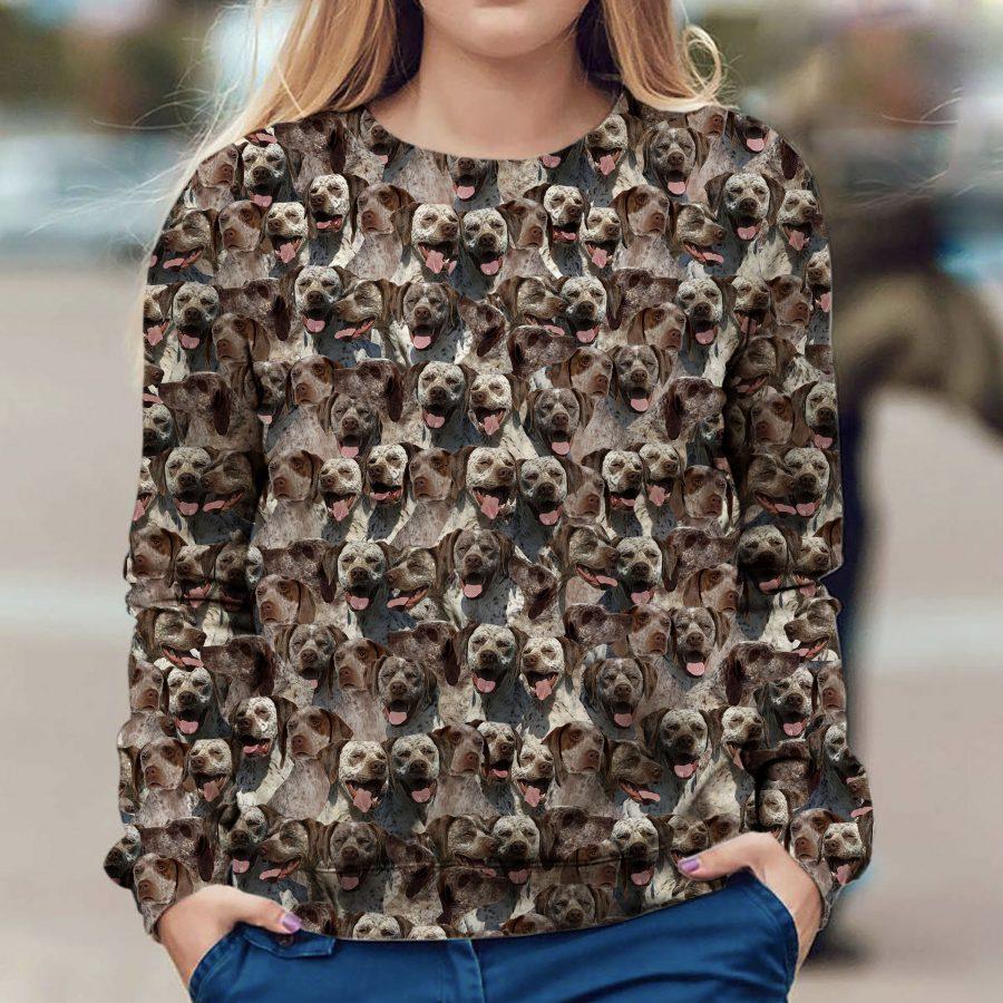 Braque du Bourbonnais - Full Face - Premium Sweatshirt