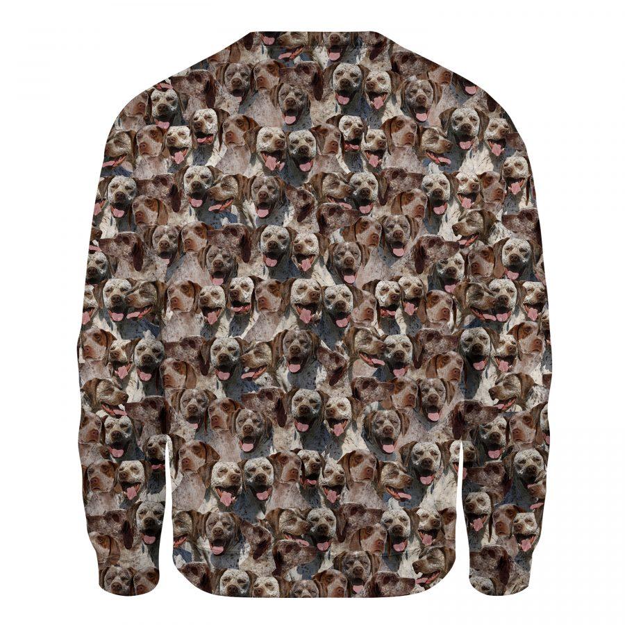 Braque du Bourbonnais - Full Face - Premium Sweatshirt
