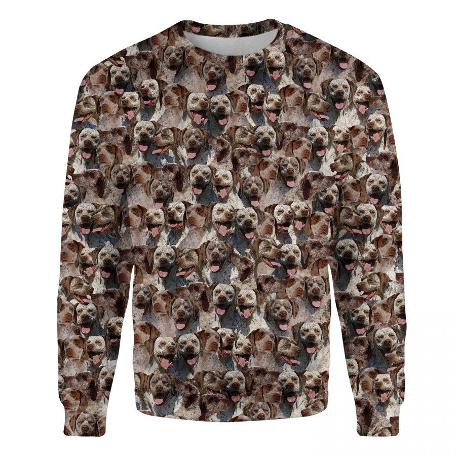 Braque du Bourbonnais - Full Face - Premium Sweatshirt
