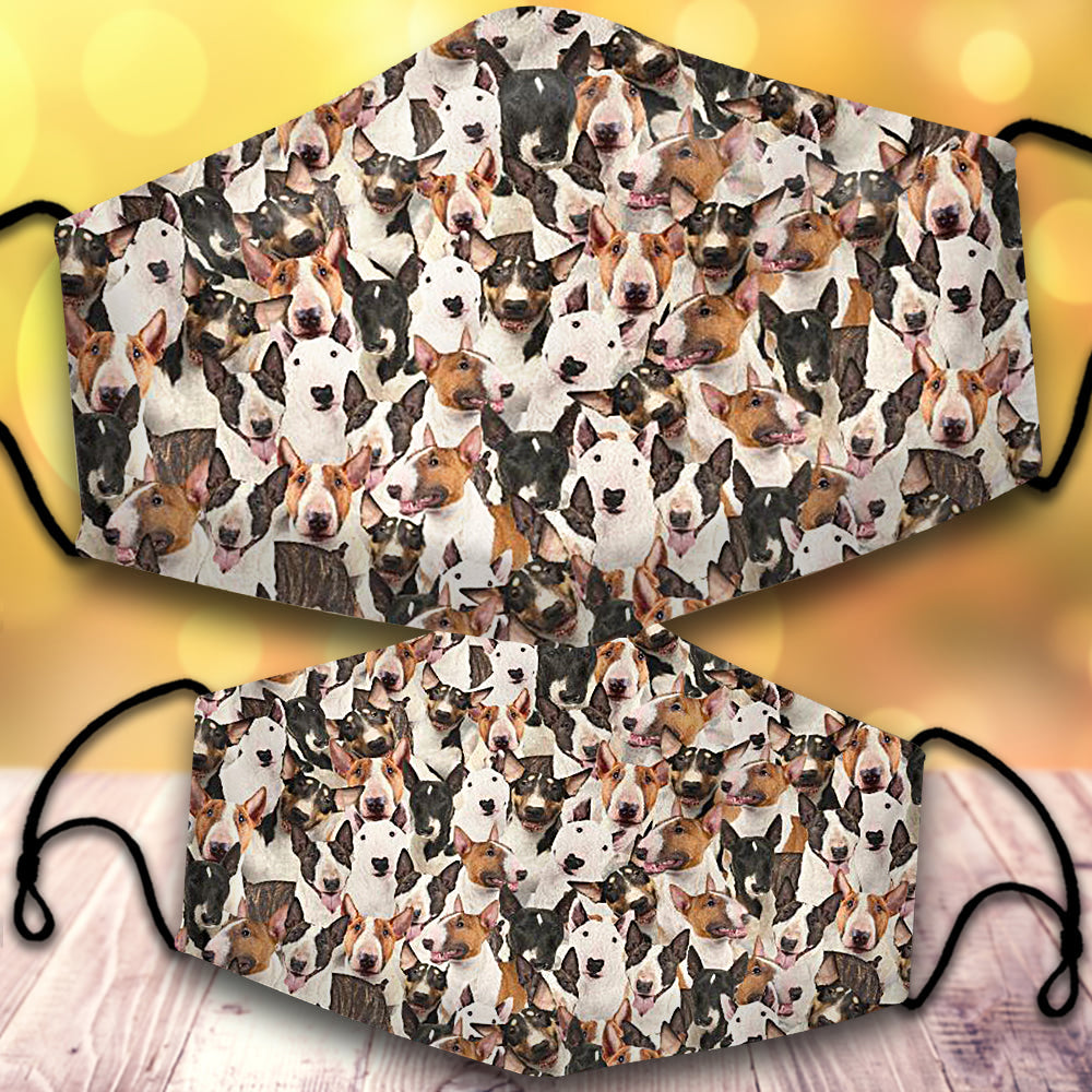 Bull Terrier-Full Veil