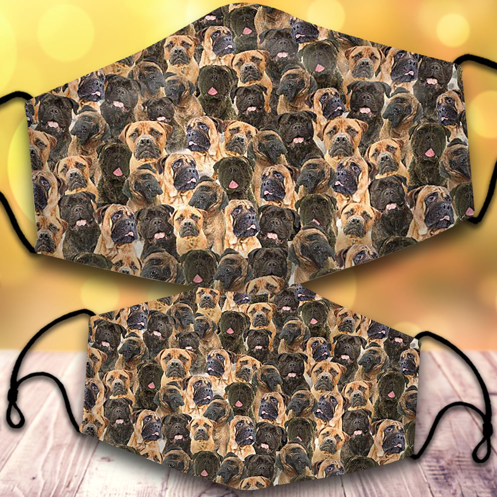 Bullmastiff-Full Veil