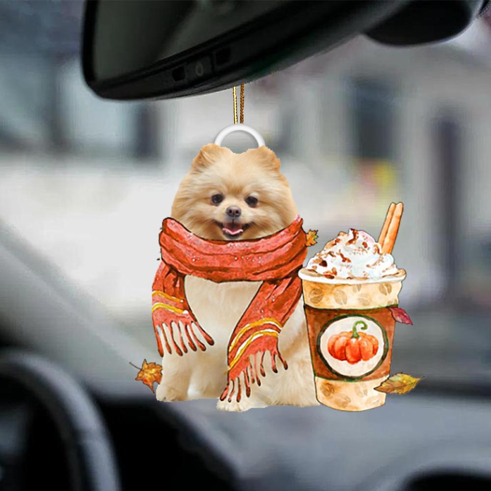 Pomeranian-Pumpkin Spice Kinda-Two Sided Ornament