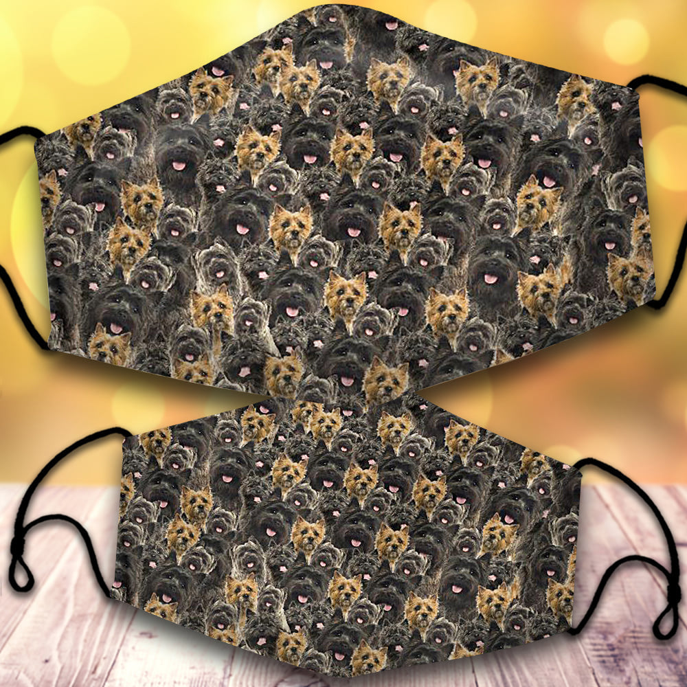 Cairn Terrier-Full Veil