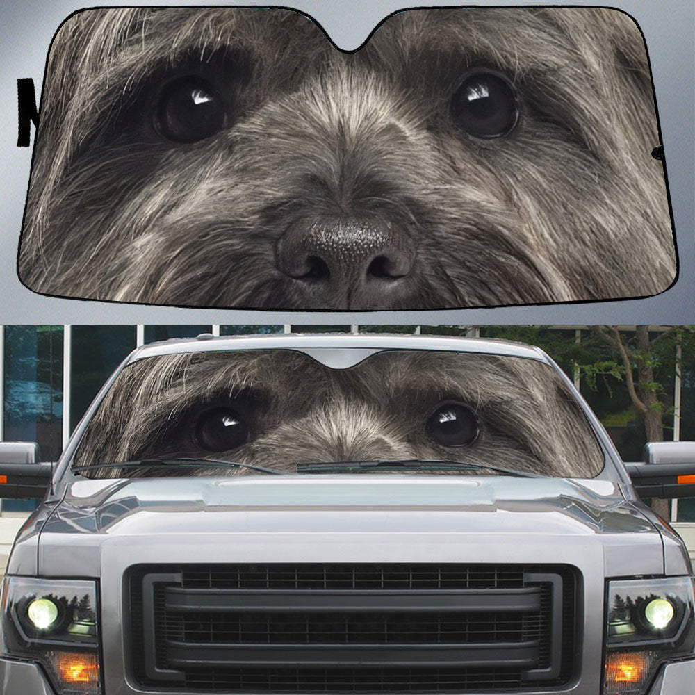 Cairn Terrier's Eyes-Beautiful Dog Eyes Car Sun Shade Cover Auto Windshield
