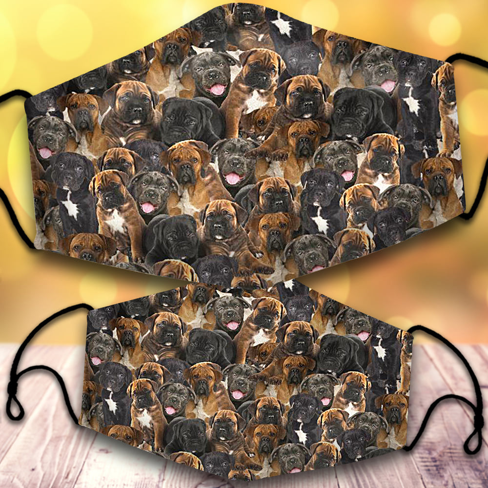 Cane Corso-Full Veil