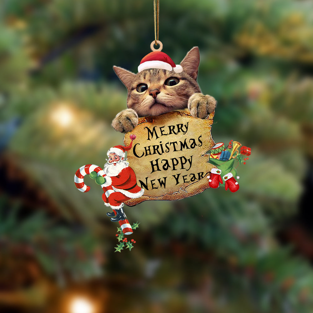 Cat-Christams &amp; New Year Two Sided Ornament