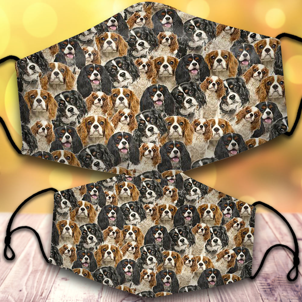 Cavalier King Charles Spaniel-Full Veil