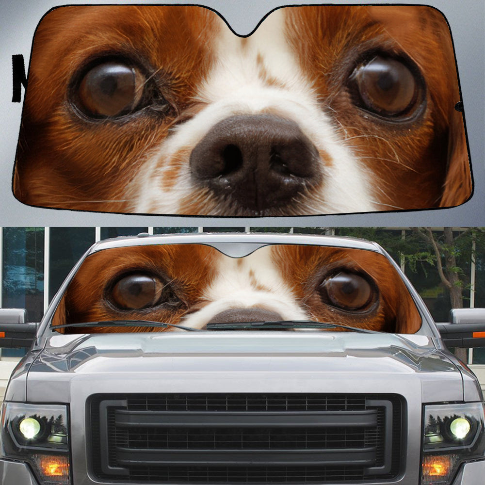Cavalier King Spaniel (2)'s Eyes-Beautiful Dog Eyes Car Sun Shade Cover Auto Windshield