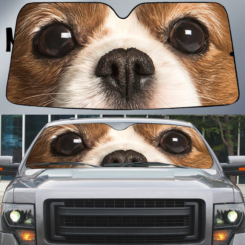 Cavalier King Spaniel (3)'s Eyes-Beautiful Dog Eyes Car Sun Shade Cover Auto Windshield