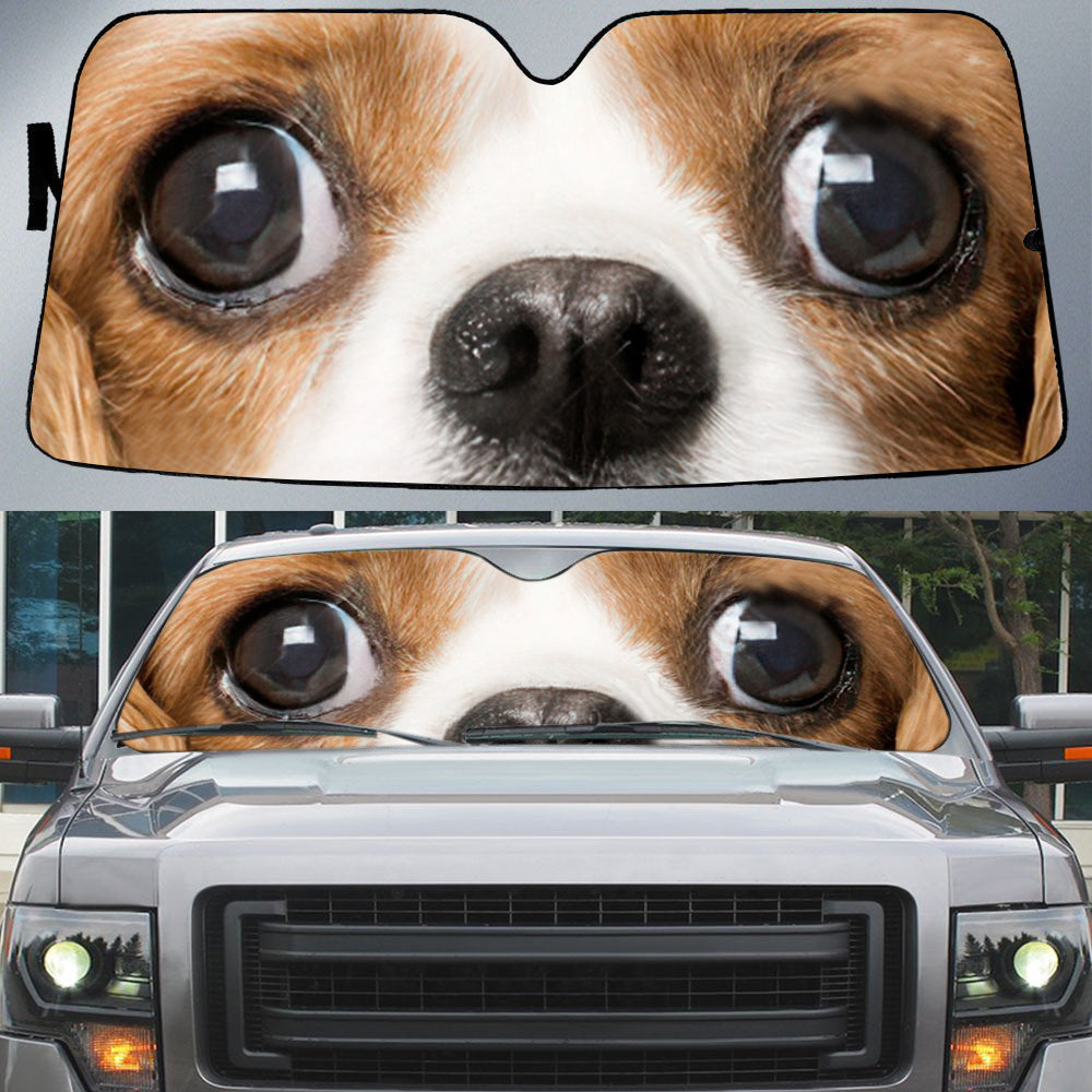 Cavalier King Spaniel's Eyes-Beautiful Dog Eyes Car Sun Shade Cover Auto Windshield