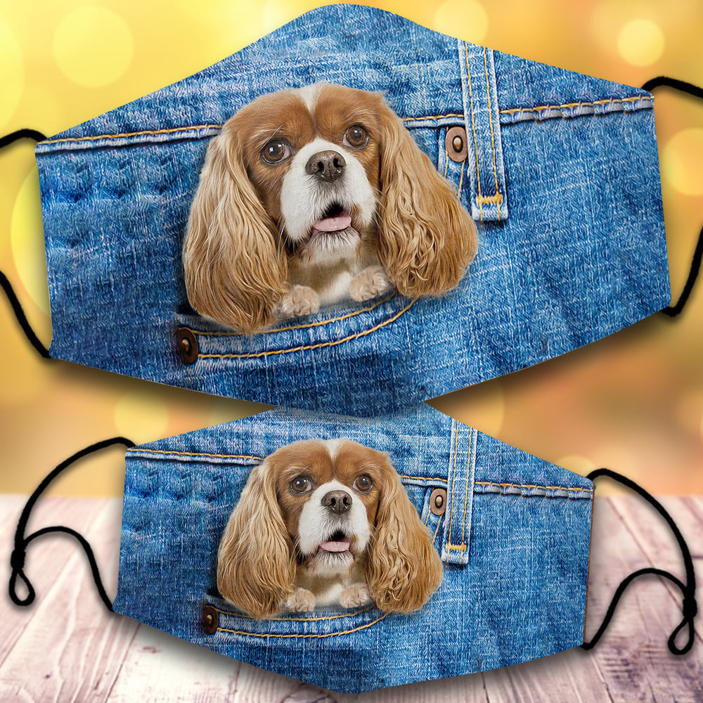 Cavalier king spaniel-In Pocket-Veil