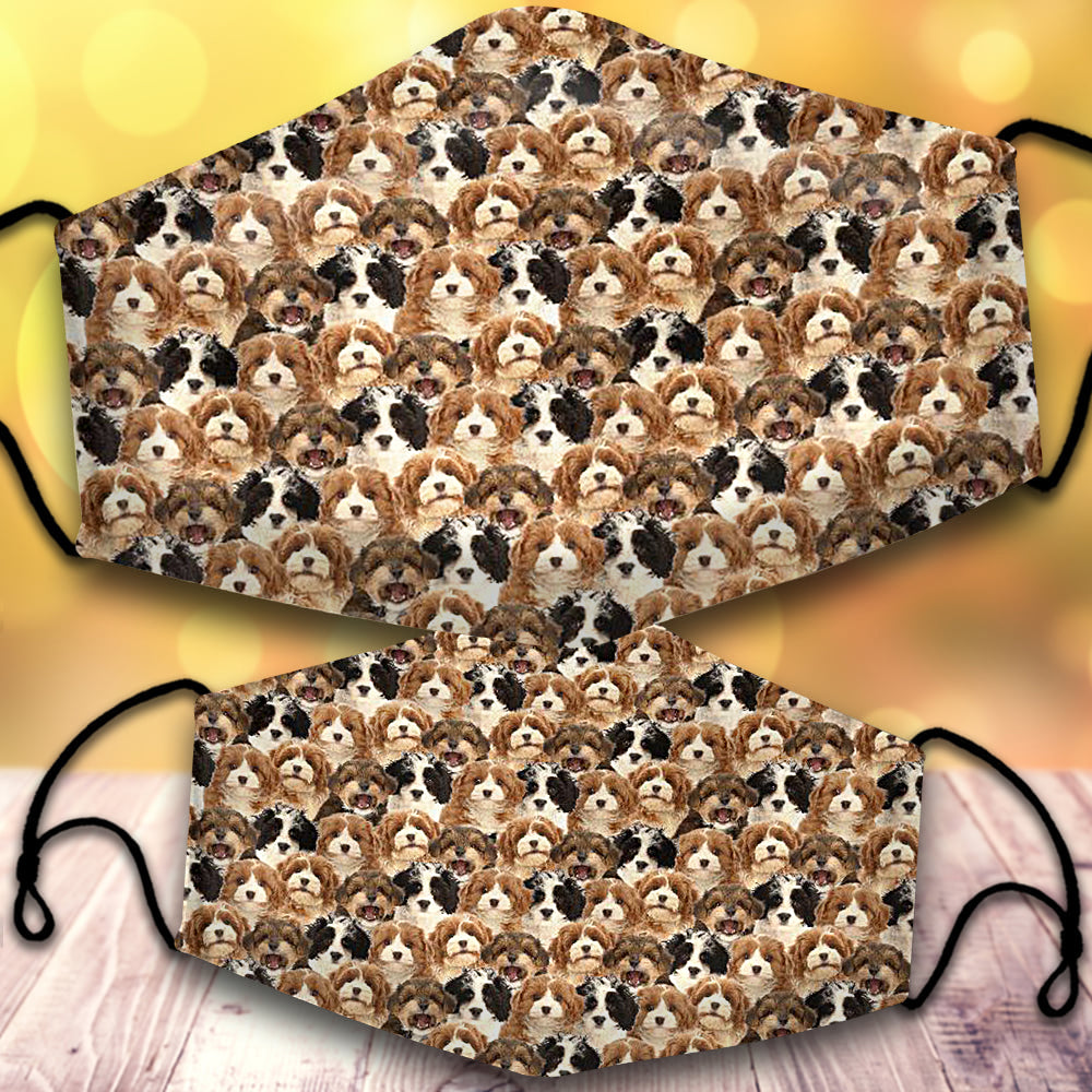 Cavapoo-Full Veil