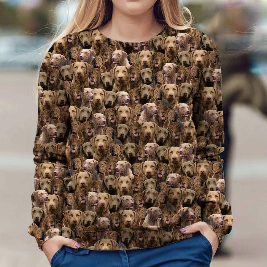 Chesapeake Bay Retriever - Full Face - Premium Sweatshirt