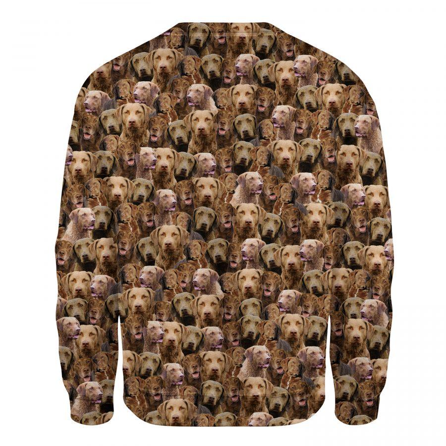 Chesapeake Bay Retriever - Full Face - Premium Sweatshirt