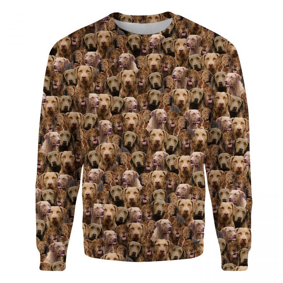 Chesapeake Bay Retriever - Full Face - Premium Sweatshirt