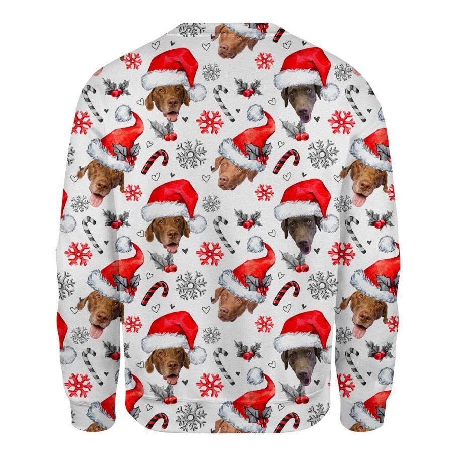 Chesapeake Bay Retriever - Xmas Decor - Premium Sweatshirt