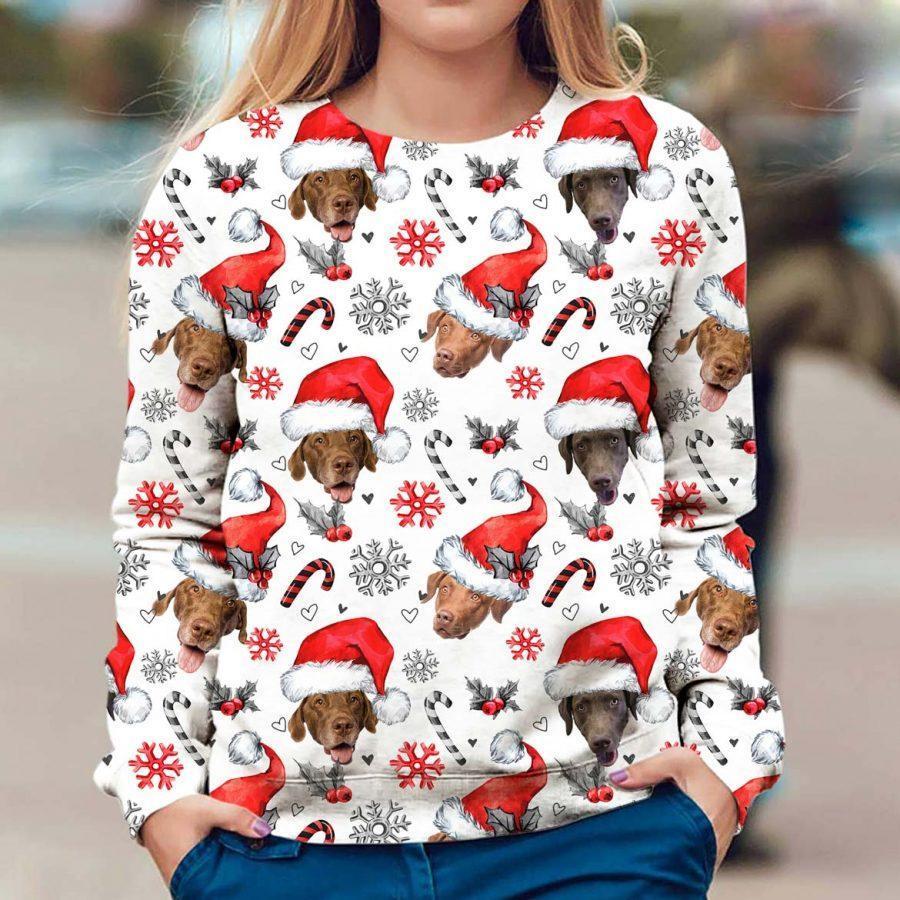 Chesapeake Bay Retriever - Xmas Decor - Premium Sweatshirt