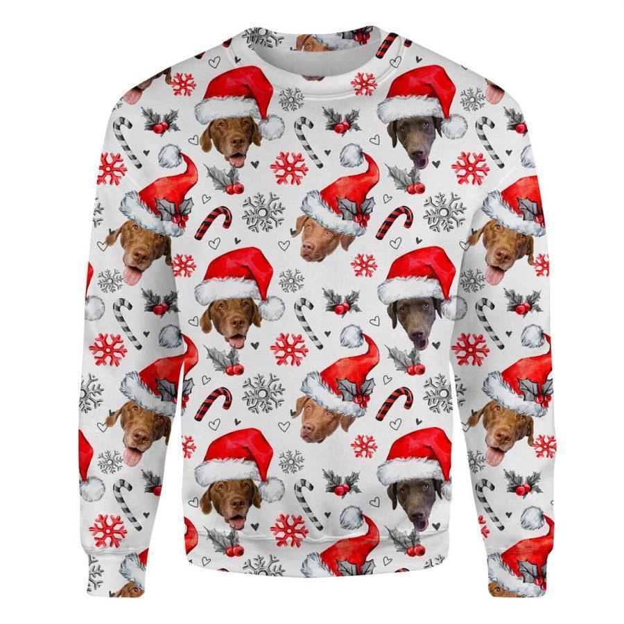 Chesapeake Bay Retriever - Xmas Decor - Premium Sweatshirt