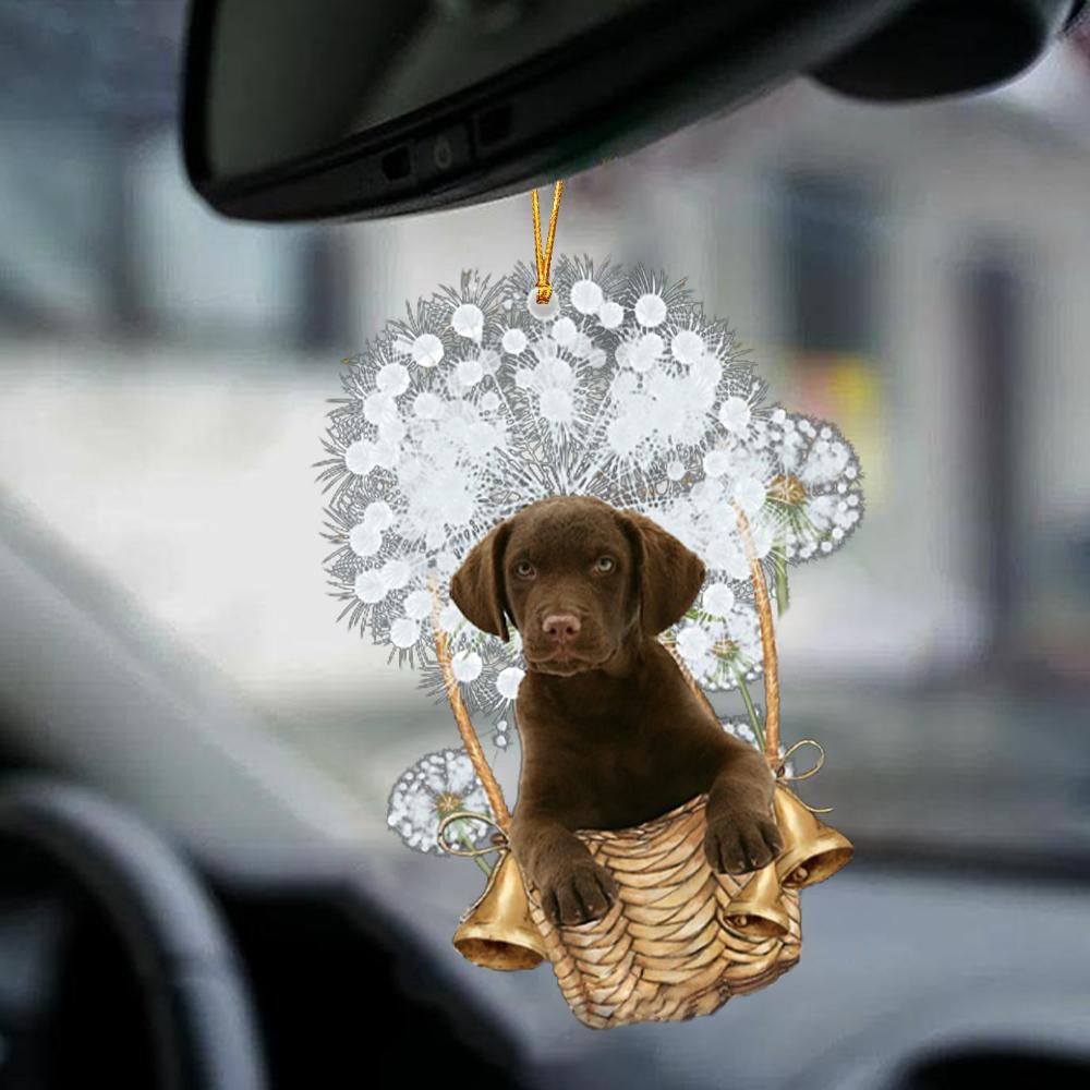 Chesapeake Bay Retriever-Dandelion-Two Sided Ornament