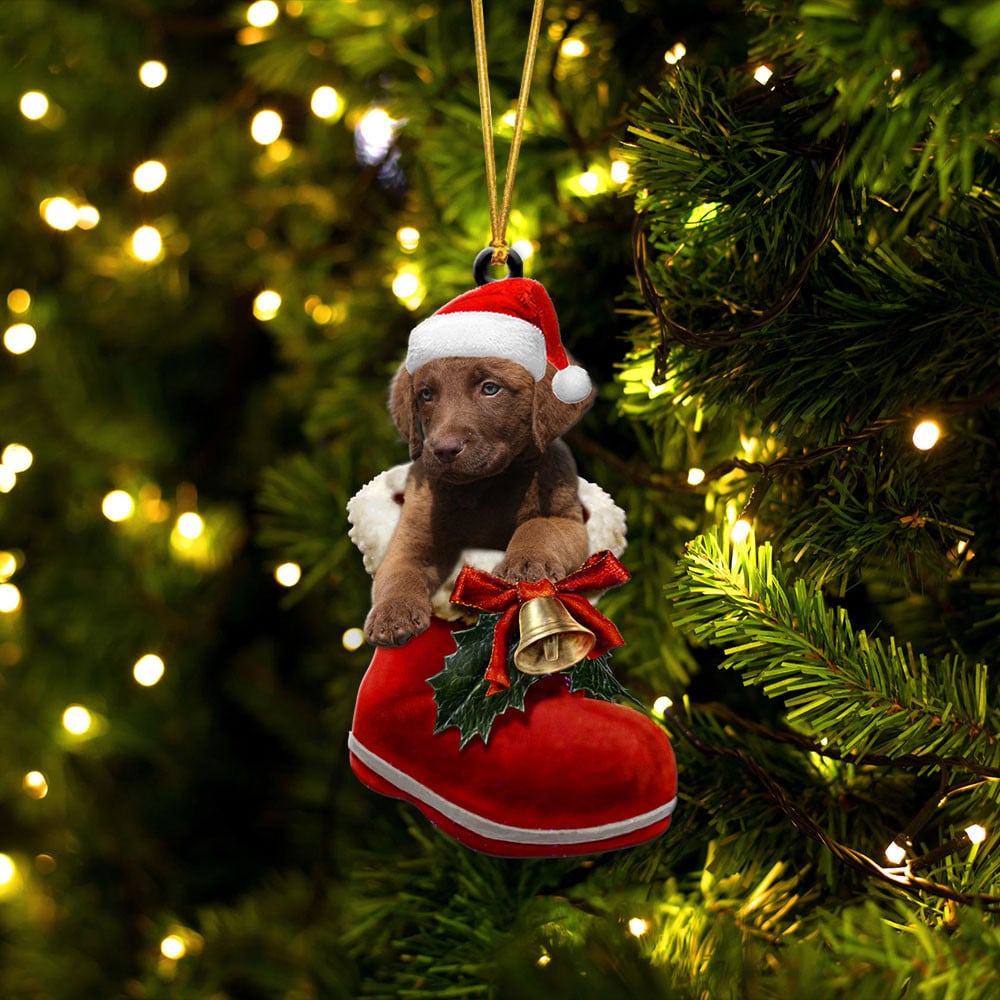 Chesapeake Bay-In Santa Boot Christmas-Two Sided Ornament