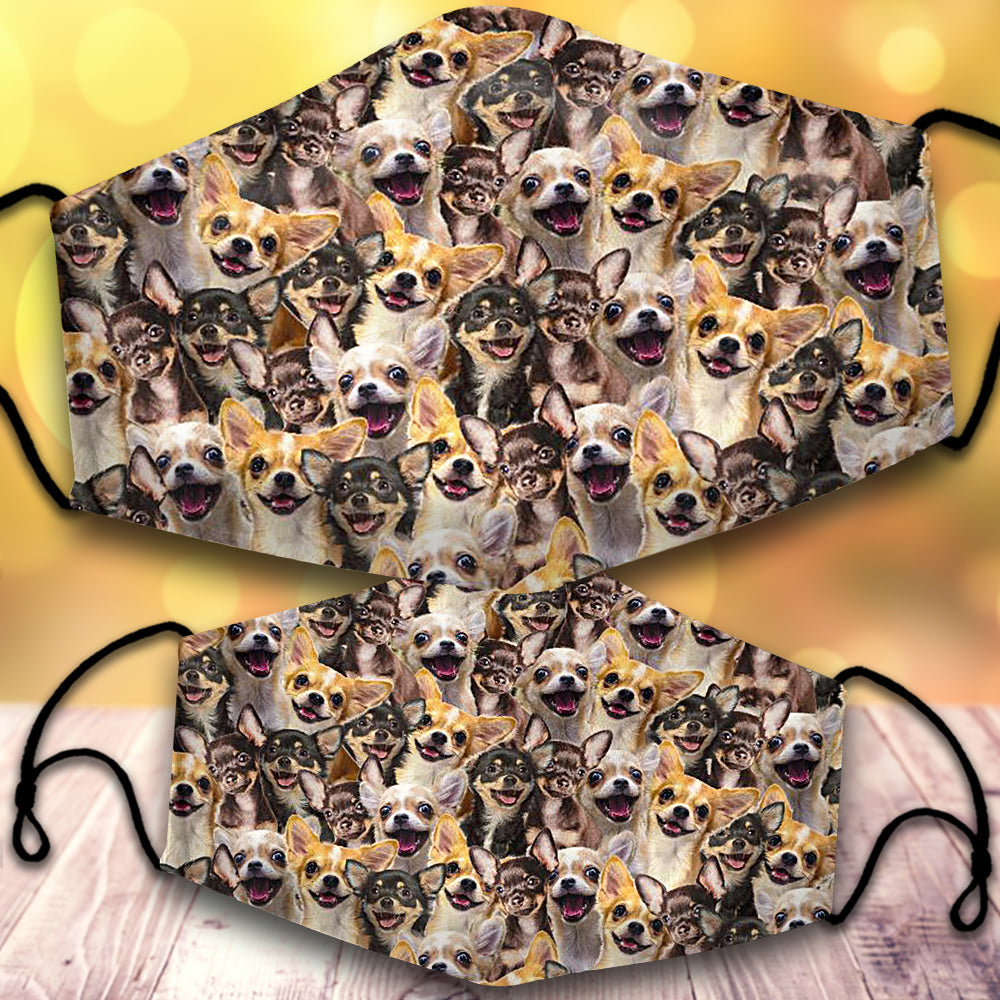 Chihuahua-Full Veil
