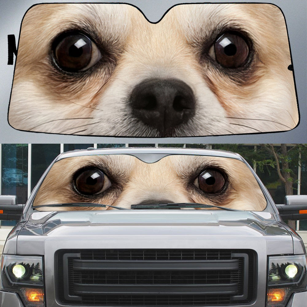Chihuahua (2)'s Eyes-Beautiful Dog Eyes Car Sun Shade Cover Auto Windshield