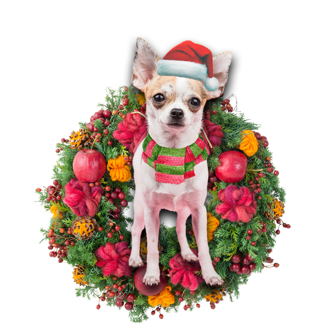 Chihuahua Christmas Ornament