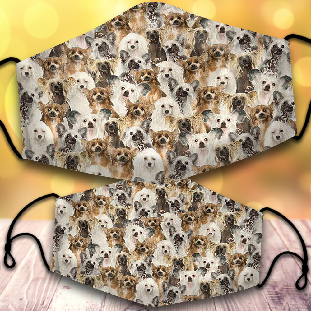 Chinese Crested Dog-Full Veil