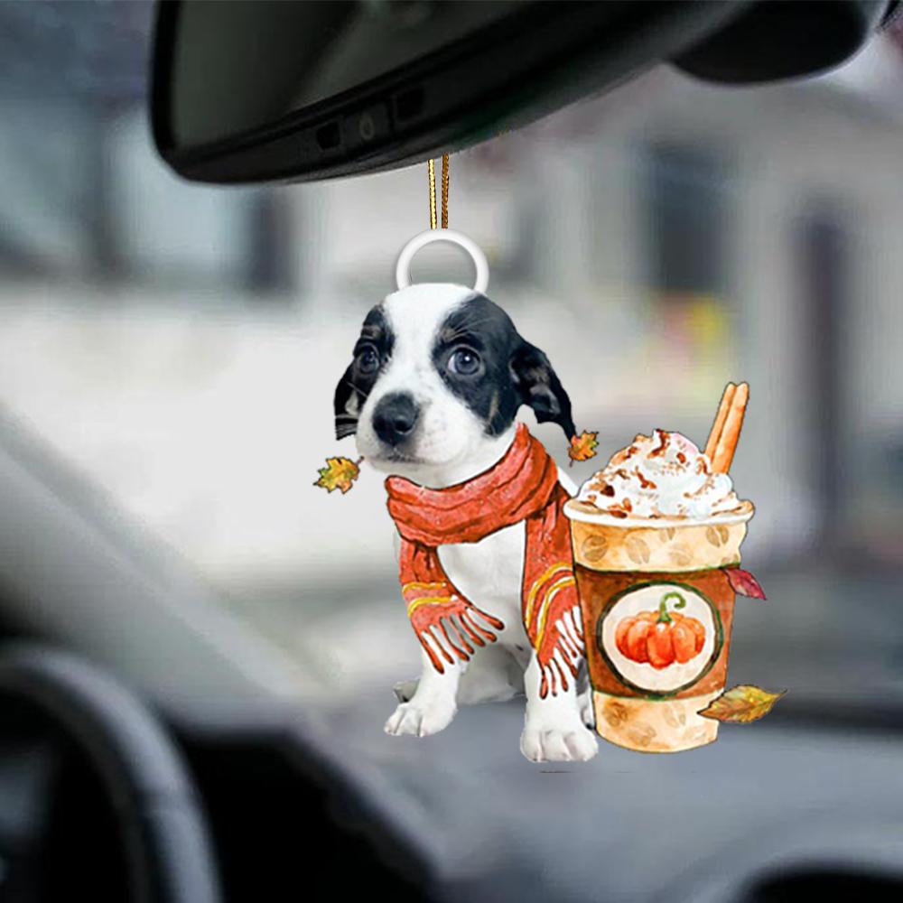 Chiweenie 3-Pumpkin Spice Kinda-Two Sided Ornament