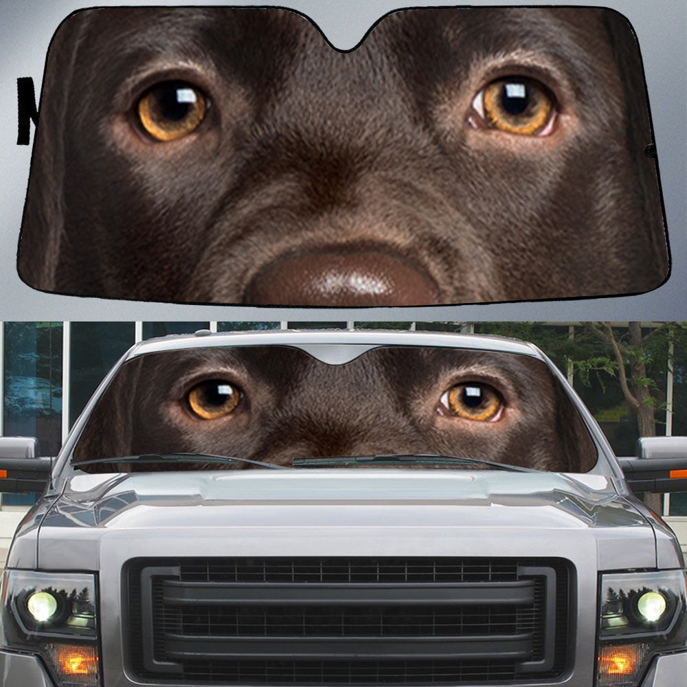 Cho Labrador Retriever's Eyes-Beautiful Dog Eyes Car Sun Shade Cover Auto Windshield