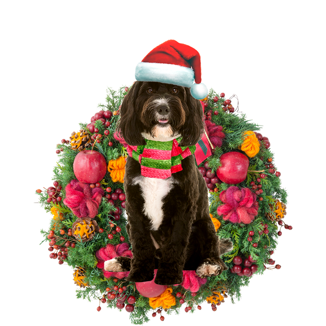 Cockapoo Christmas Ornament