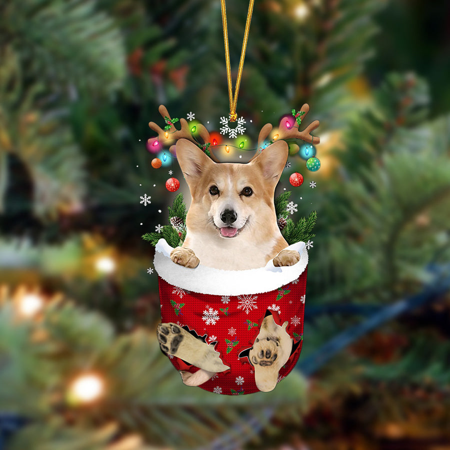 Corgi-In Christmas Pocket Two Sides Ornament
