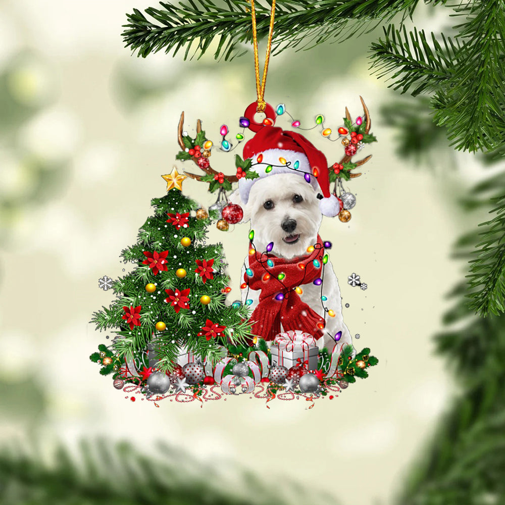 Coton De Tulear-Reindeer Christmas-Two Sided Ornament